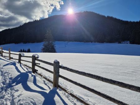Čez goro k očetu - foto Polona Pečnik (4)
